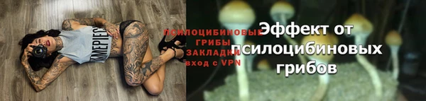 ECSTASY Абинск