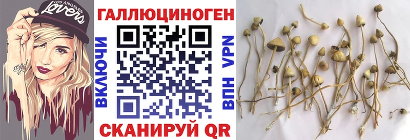 OMG ТОР  Красный Сулин  Галлюциногенные грибы GOLDEN TEACHER  магазин продажи  